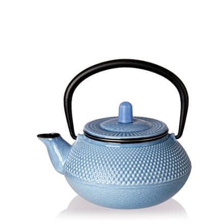 Glazed Cast Iron Teapot 10oz