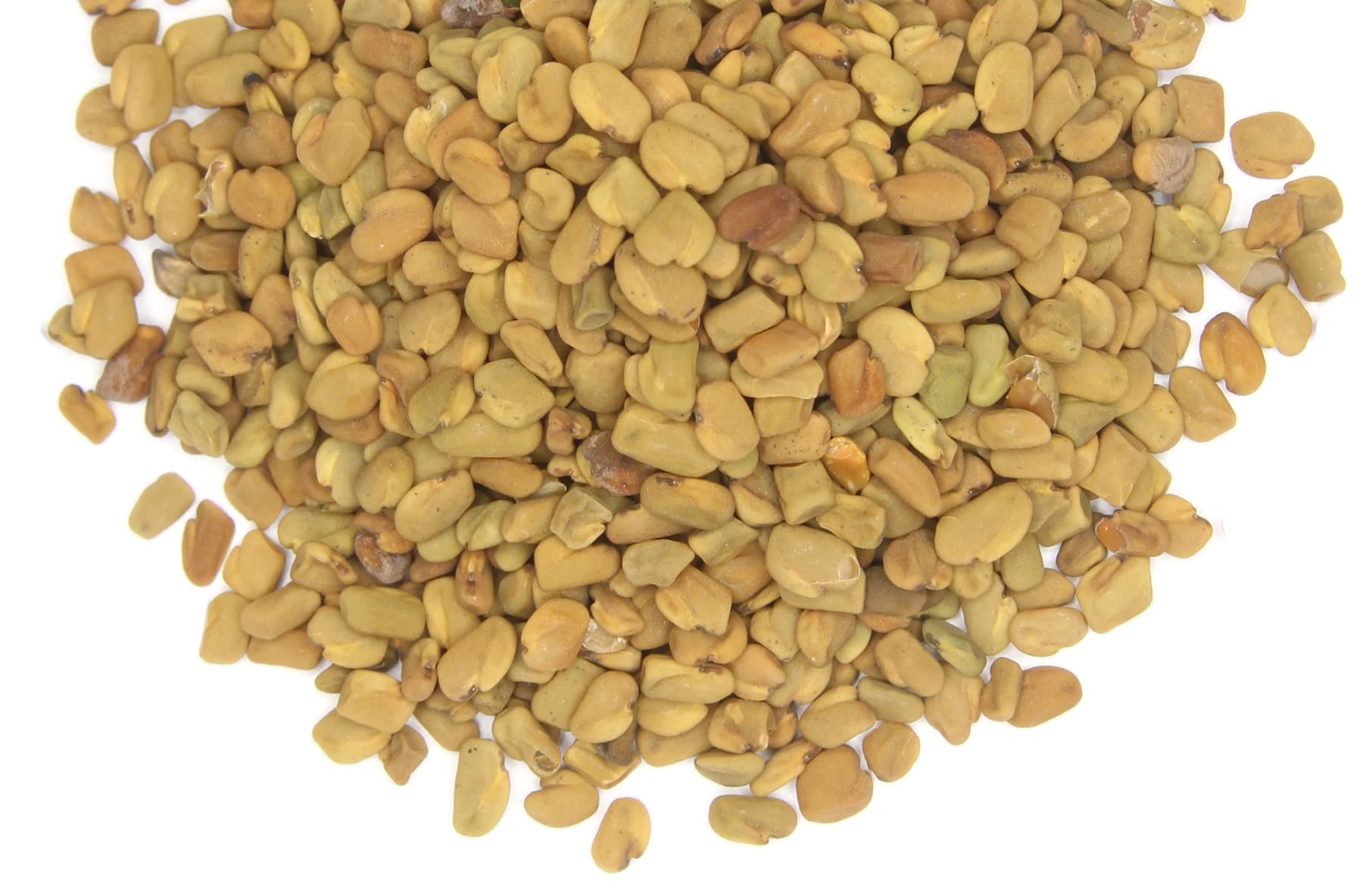 Fenugreek Seeds Whole 2.5oz