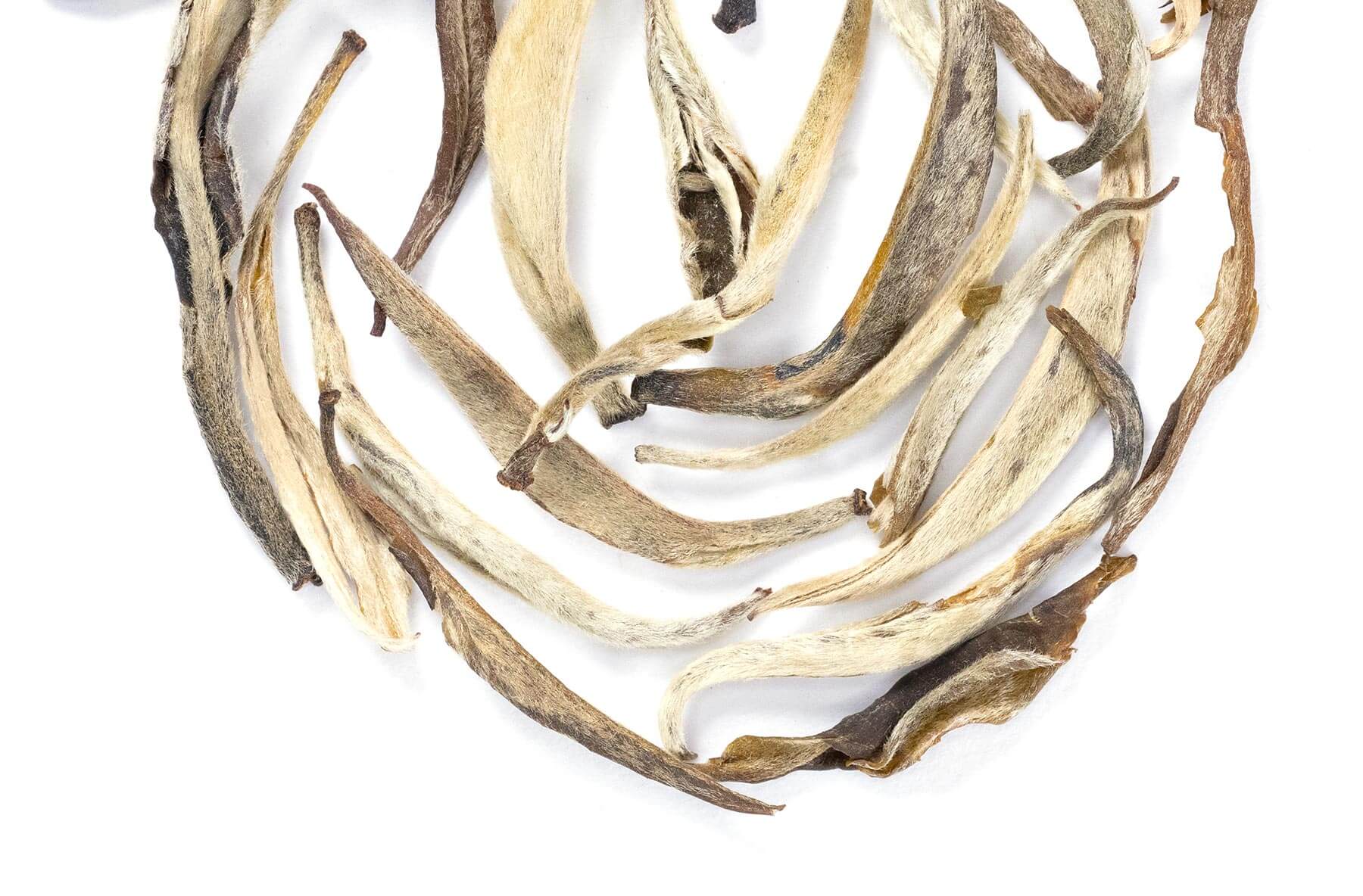 Jasmine Silver Needle Tea 1.5oz