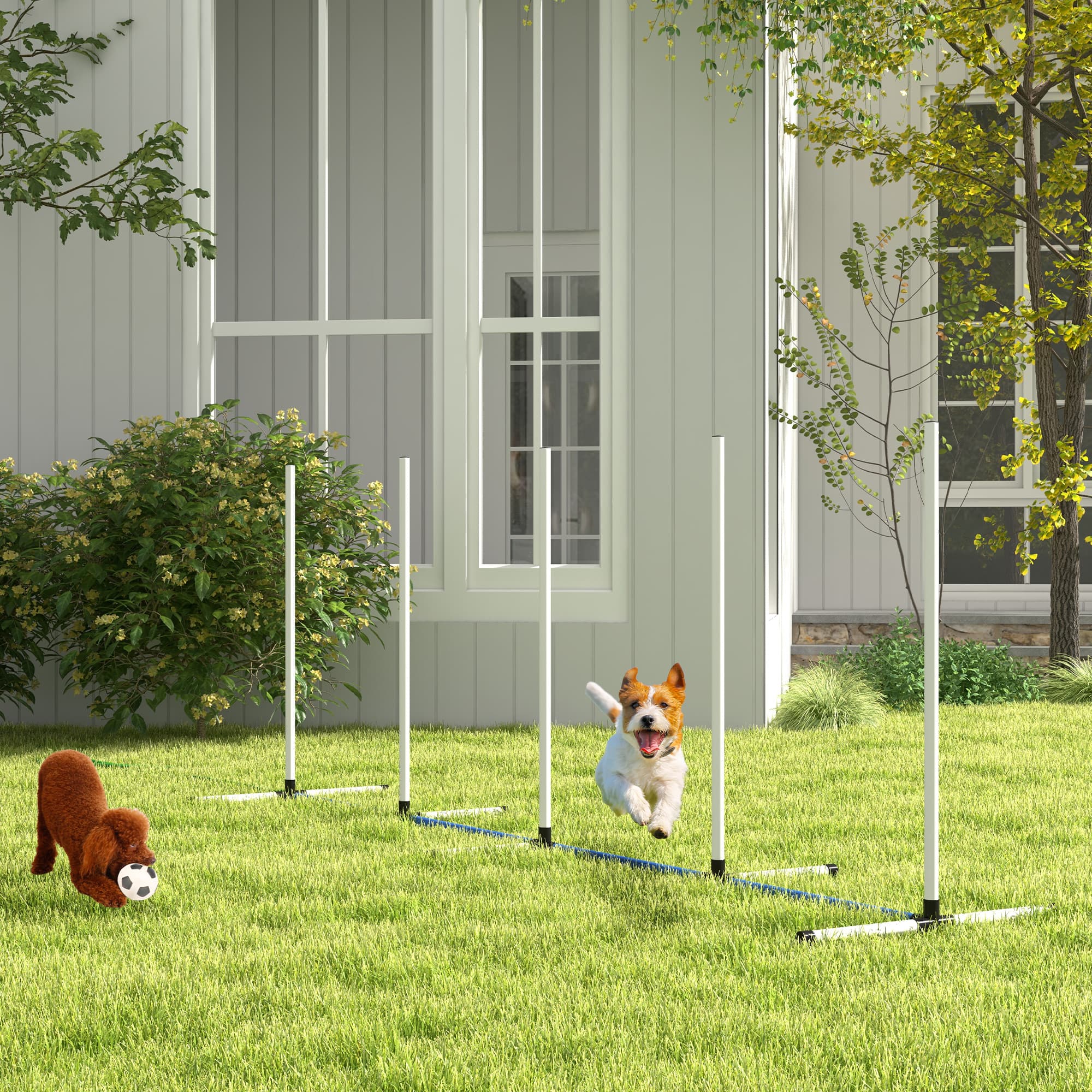 PawHut Dog Agility Training Kit 4 Pieces Weave Poles Water Spray Tube Whistle Bag White Color | Aosom Canada