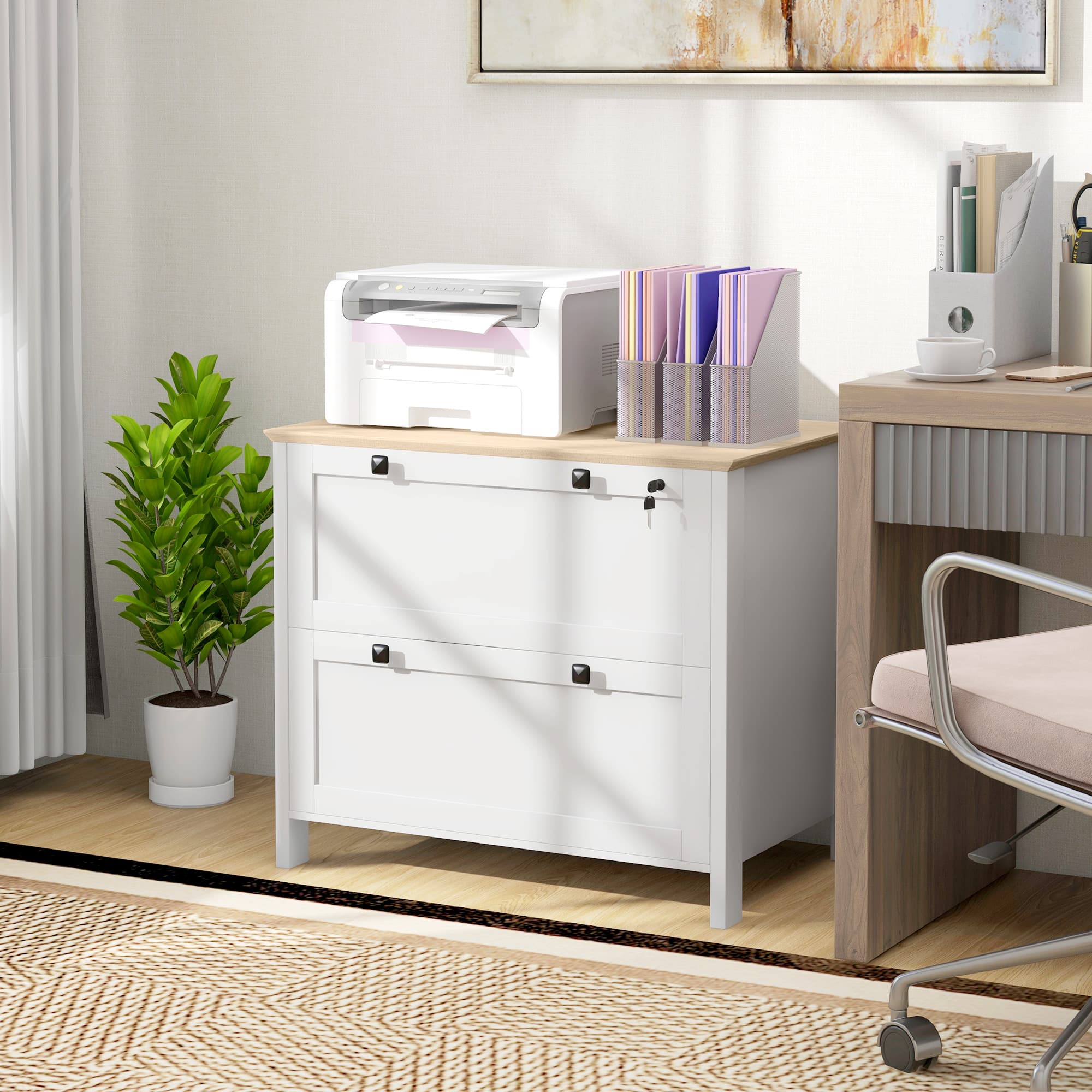 HOMCOM Lockable Filing Cabinet with 2 Drawers, Adjustable Hanging Bar for Letter, A4 and Legal Size, White | Aosom Canada
