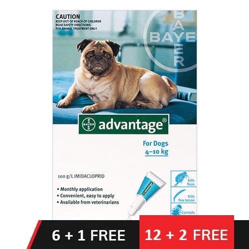 Advantage Medium Dogs 11-20lbs (Aqua) 4 Doses