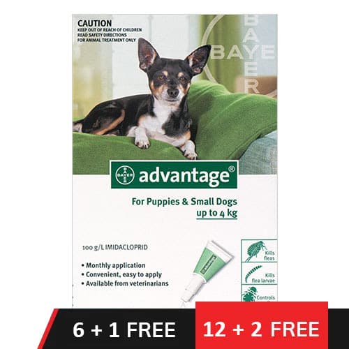 Advantage Small Dogs/ Pups 1-10lbs (Green) 4 Doses