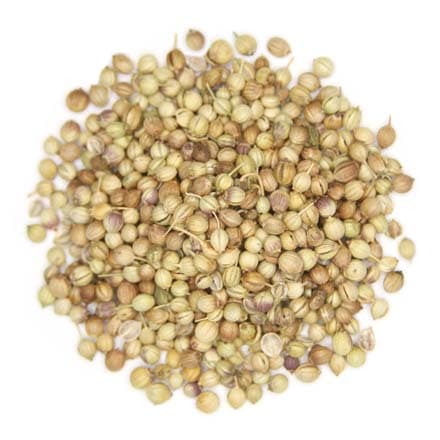 Coriander Seeds Whole 1oz